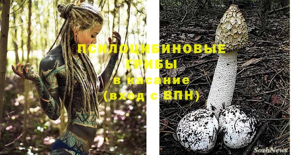 MESCALINE Бородино
