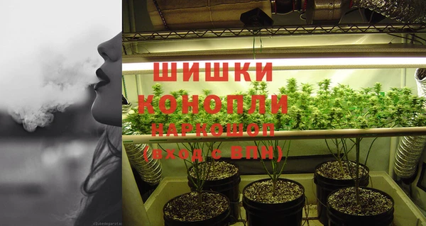 MESCALINE Бородино